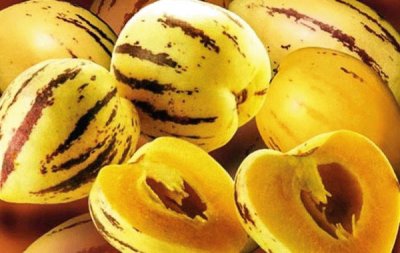 Pepino chileno,fruta