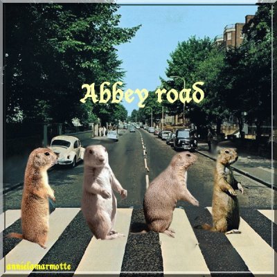 פאזל של abbey road