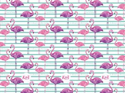 FLAMINGOS