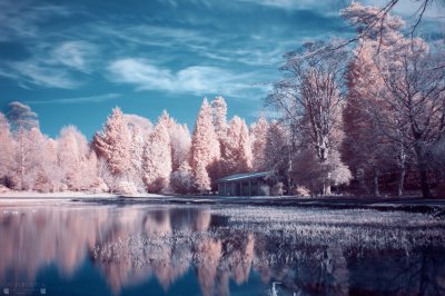 Infrared reflections Kilsyth jigsaw puzzle