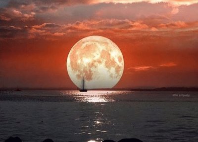 LA LUNA