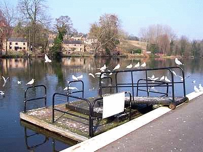 River Derwent at Belper