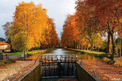 פאזל של Canal de Moissac