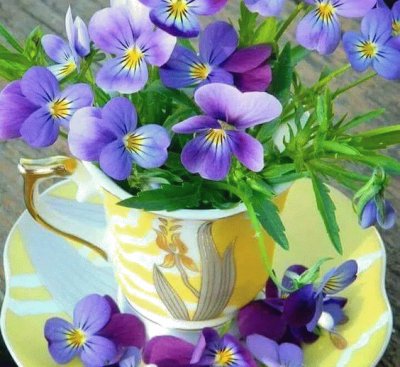 teacup flowers