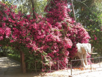 NANYUKI jigsaw puzzle