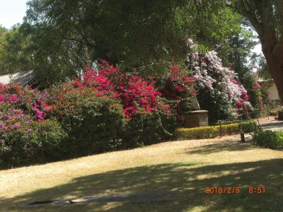 פאזל של NANYUKI