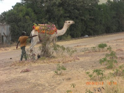 פאזל של NANYUKI