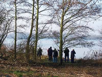 Birdwatchers