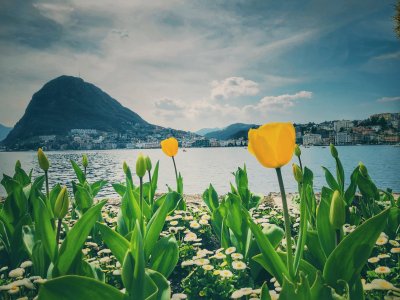 Lugano