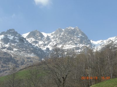 TRACCIOLINO