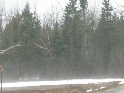 Warm spring day brings melting mist