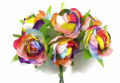 Rosas decolores