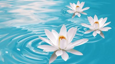 piscina con flores