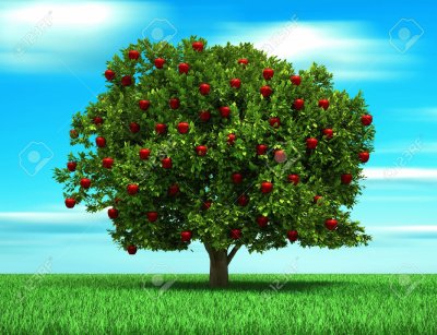 Ã¡rbol de manzana jigsaw puzzle