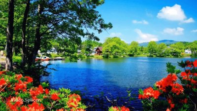 laguna o lago jigsaw puzzle