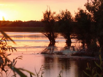 פאזל של delta du Danube Roumanie