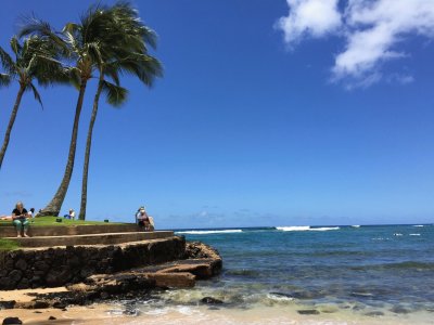 Hawaii jigsaw puzzle