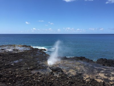 Hawaii jigsaw puzzle