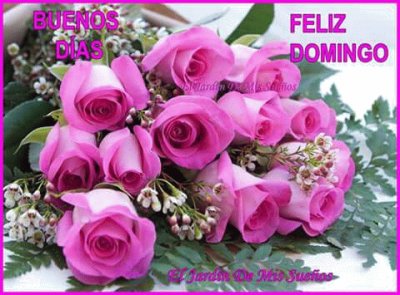 rosas