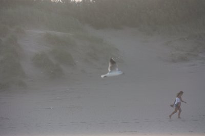 Viento y arena