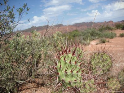 פאזל של san luis argentina