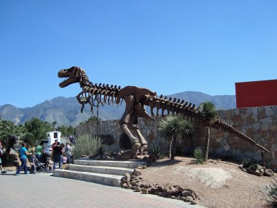פאזל של FÃ³sil de dinosaurio, Museo del Desierto, Saltillo.