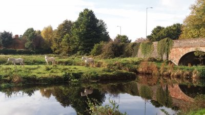 Moors bridge.   Lisburn. co Antrim jigsaw puzzle