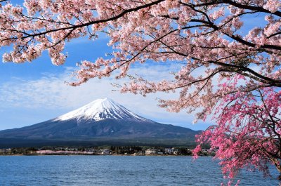 Mont Fuji Japon jigsaw puzzle