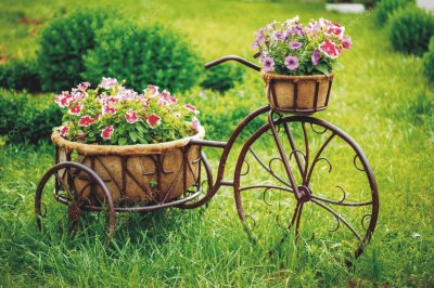 Bicycles with flowers