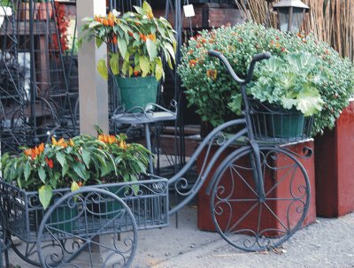 Bicycles with flowers