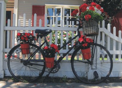 Bicycles with flowers