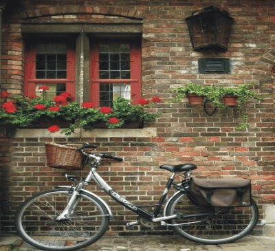 Bicycles with flowers