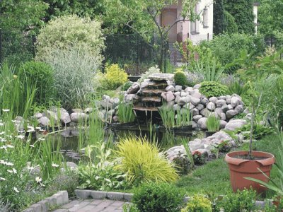 garden with lake