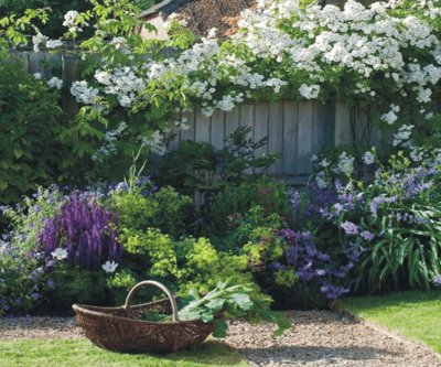 garden jigsaw puzzle