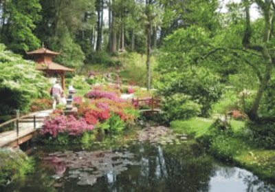 garden with lake