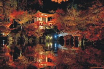 garden with lake