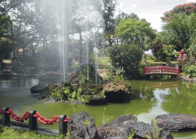 garden with fountains