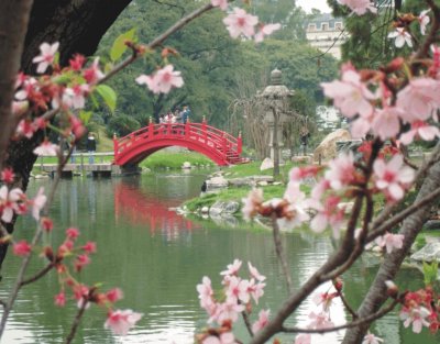 bridge on the lake jigsaw puzzle