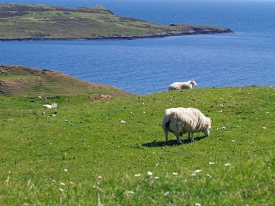 פאזל של isle of skye