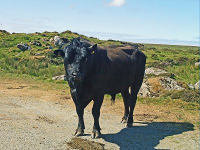 isle of skye