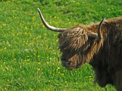 isle of skye