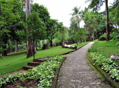 Lagoa do Nado Park jigsaw puzzle