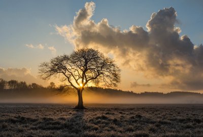 Por do Sol jigsaw puzzle