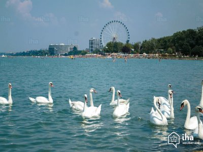 Danubio Meridional -Balaton. jigsaw puzzle