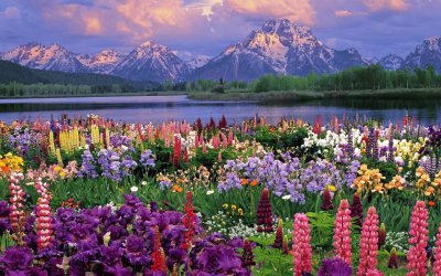 paysage fleurs jigsaw puzzle