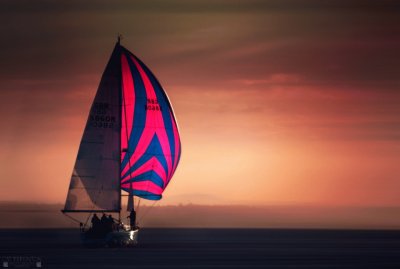 sailing sunset