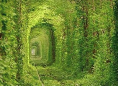 Tunnel of Love - Ukraine jigsaw puzzle