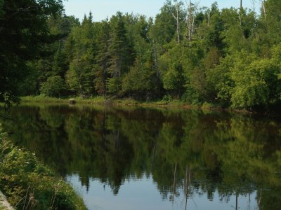 Local pond     L