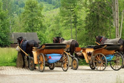 Carriages jigsaw puzzle