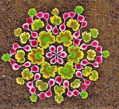flores